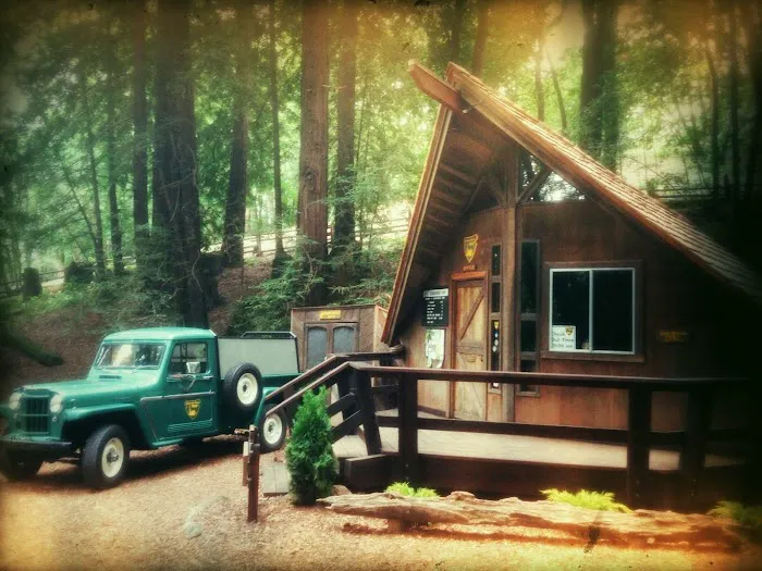 Schoolhouse Canyon Campground Picture 2