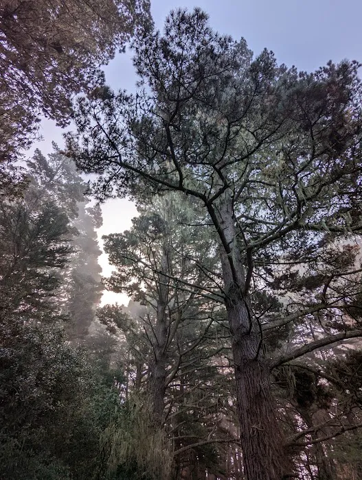 Marshall Beach Picture 10