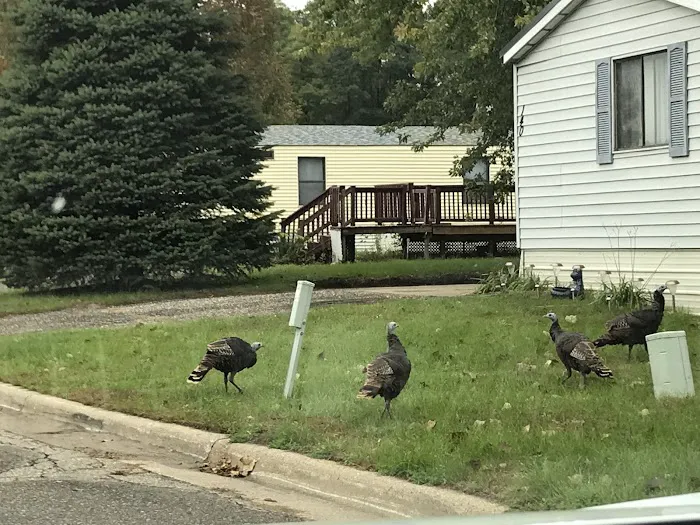 Pepin Woods Manufactured Home Community Picture 3