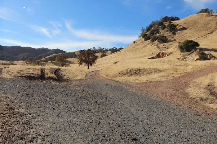 Stewartville Backpacking Campsite Picture 10