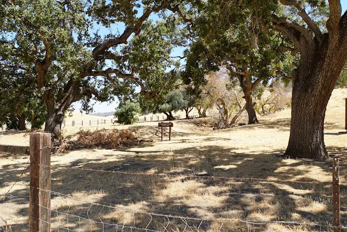 Stewartville Backpacking Campsite Picture 4