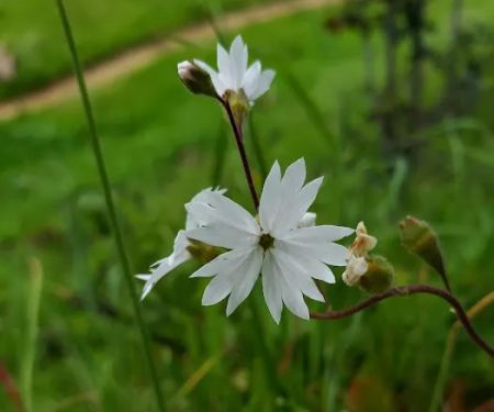 Round Valley Regional Preserve