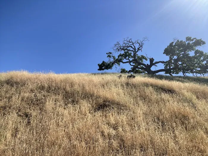 Juniper Campground Picture 7