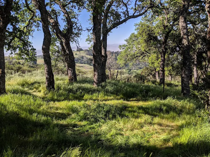 Boundary Campground Picture 7