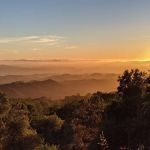 Wildcat Group Campground