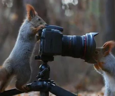 Country Meadows & Cedar Ridge