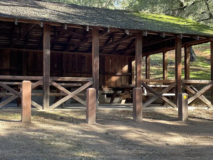 Live Oak Campground Picture 1