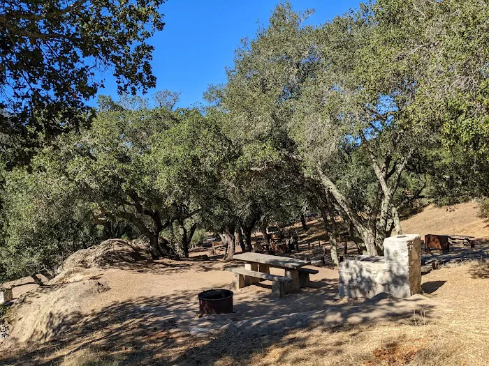 Live Oak Campground Picture 9
