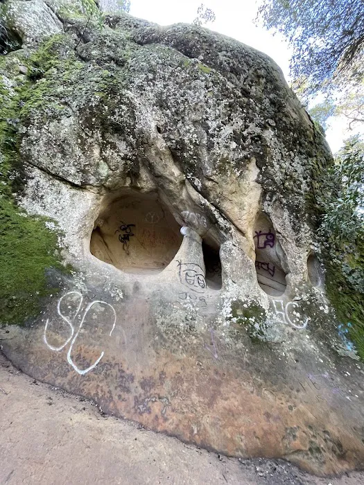 Live Oak Campground Picture 6