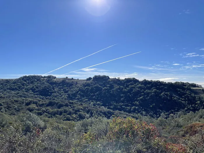 Live Oak Campground Picture 7