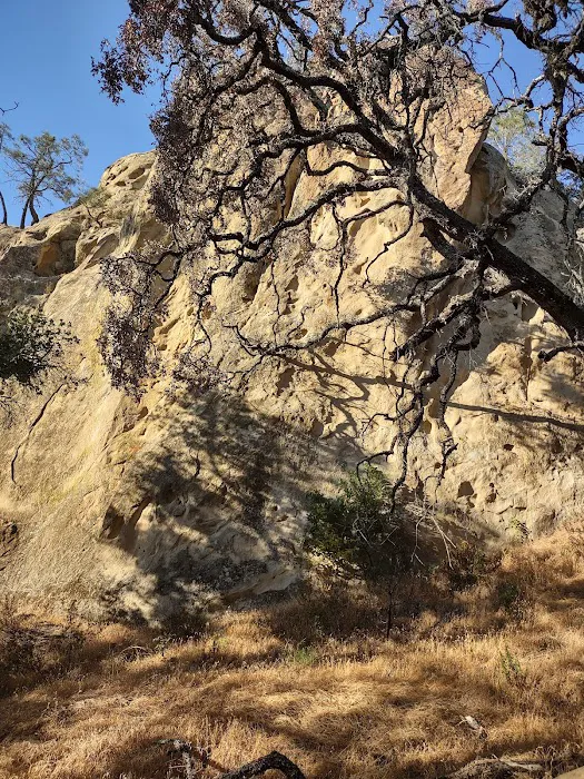 Live Oak Campground Picture 3