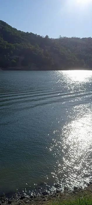 Boat-In Sites (LakeSonoma) Picture 1