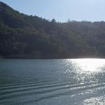 Boat-In Sites (LakeSonoma)