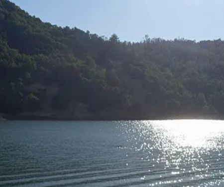 Boat-In Sites (LakeSonoma)