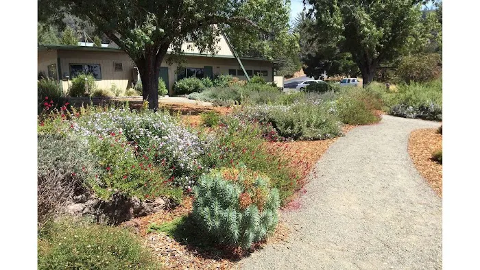 Cloverdale Healdsburg Campground Picture 1