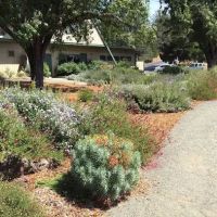 Cloverdale Healdsburg Campground ico