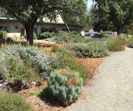 Cloverdale Healdsburg Campground