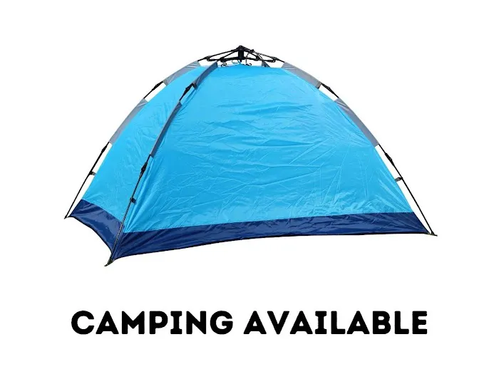 Wheel House RV Park Picture 5