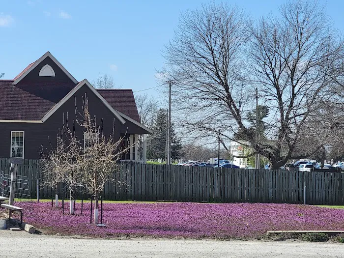 Wheel House RV Park Picture 3