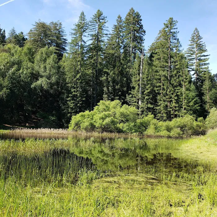 Bullfrog Pond Campground Picture 10