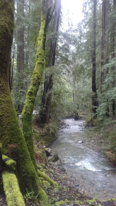 Bullfrog Pond Campground Picture 5