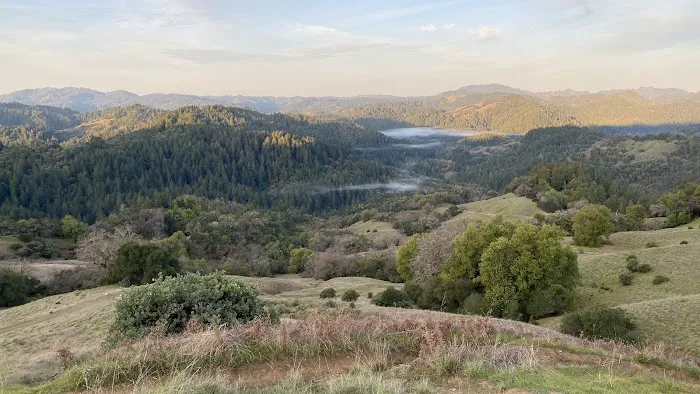 Bullfrog Pond Campground Picture 4