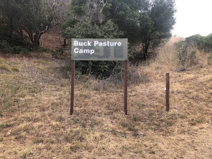 Buck Pasture Picture 2