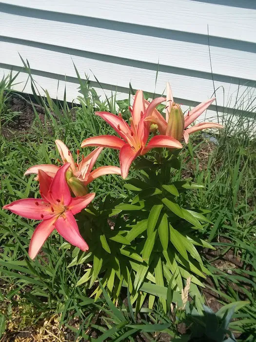 Southland Mobile Home Park Picture 1