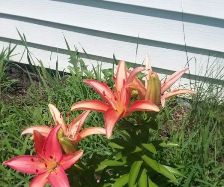 Southland Mobile Home Park