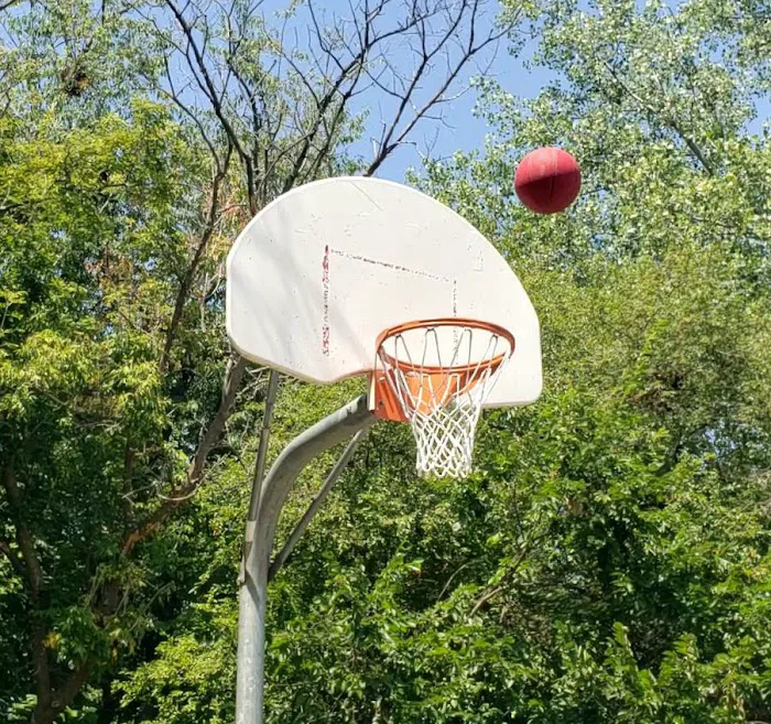 The Meadows Picture 8