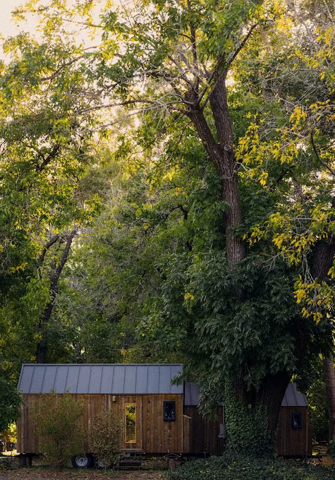 Johnson's Beach - Cabins and Campground Picture 2