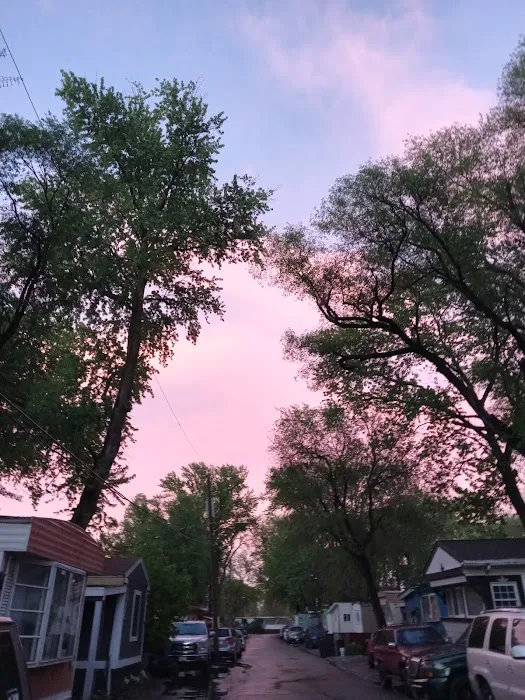 Radio City Mobile Home Park Picture 3