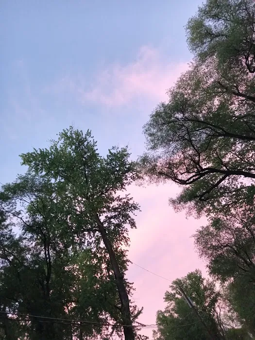 Radio City Mobile Home Park Picture 1