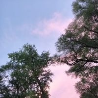 Radio City Mobile Home Park ico