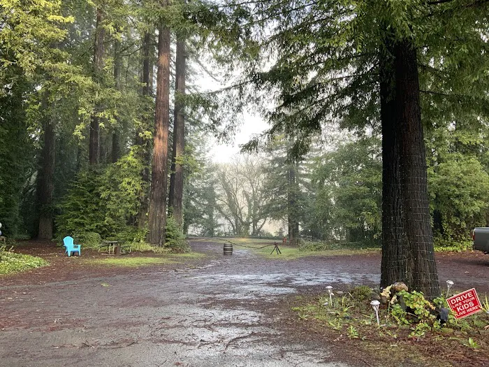 Camp Russian River Picture 7