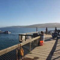 Lawson's Landing ico