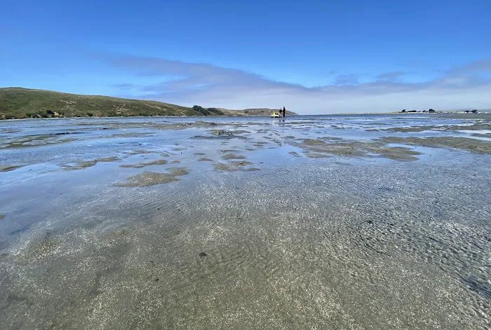 Lawson's Landing Picture 3