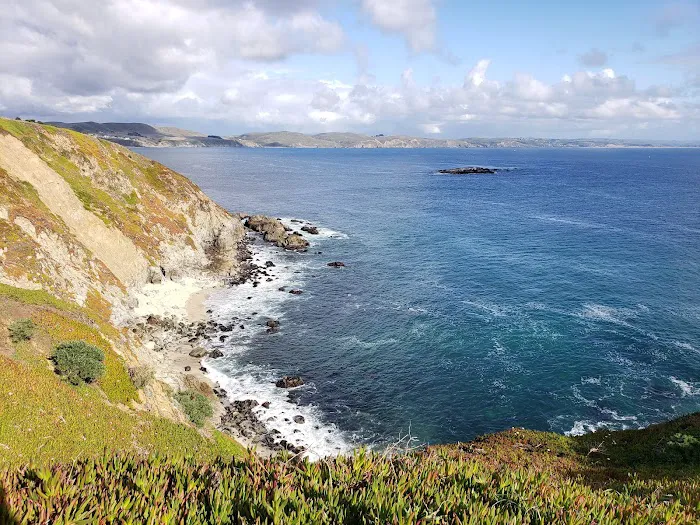 Bodega Dunes Campground Picture 6