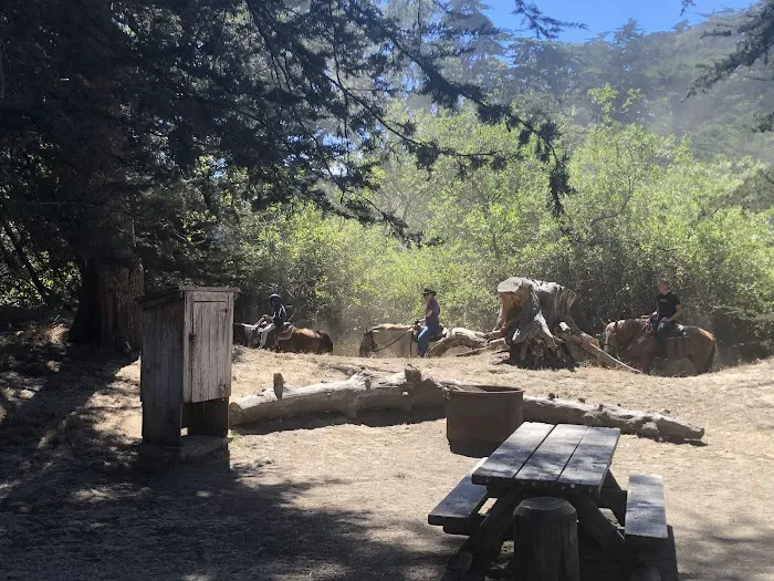 Bodega Dunes Campground Picture 7