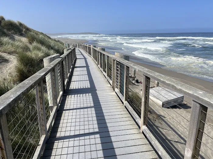 Bodega Dunes Campground Picture 5