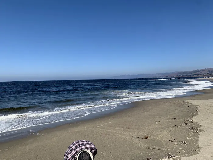 Bodega Dunes Campground Picture 3