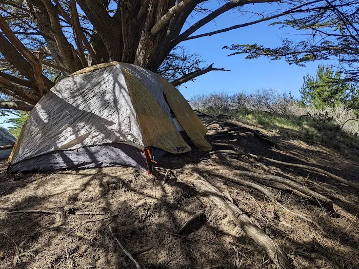 Bodega Dunes Campground Picture 9