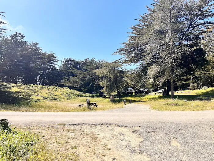 Bodega Dunes Campground Picture 8