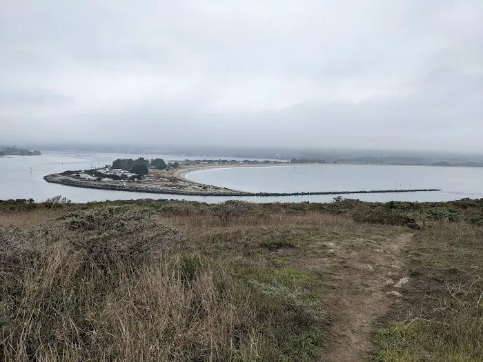 Miwok campground Picture 4