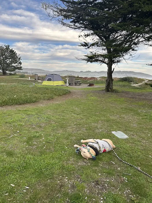 Miwok campground Picture 7