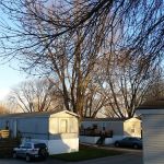 Shady Grove Community