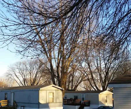 Shady Grove Community