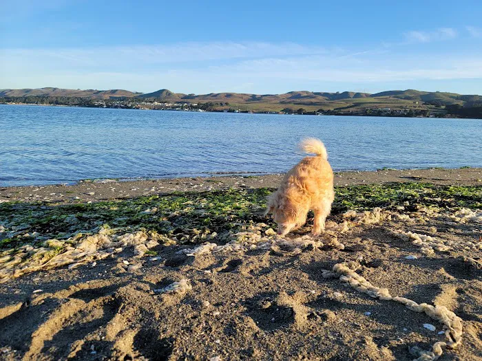 Doran Campground Picture 10