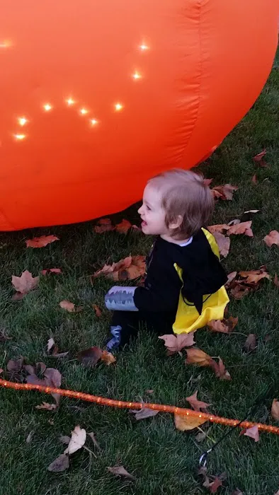 Old Orchard Mobile Home Park Picture 7