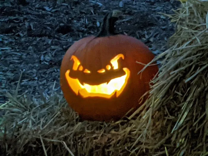 Old Orchard Mobile Home Park Picture 3